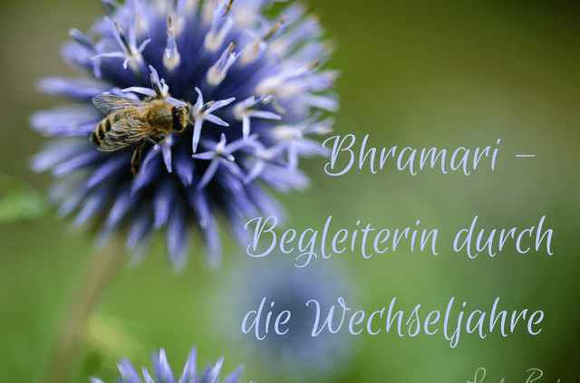 FrauSeele Bhramari wie dich das Brummen der Biene in den Wechseljahren unterstütz